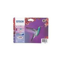 Epson C13T080740